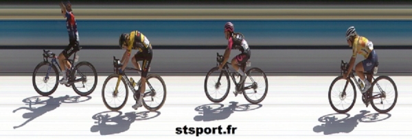 Picto-Charentaise