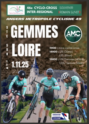 CX de Sainte-Gemmes-sur-Loire